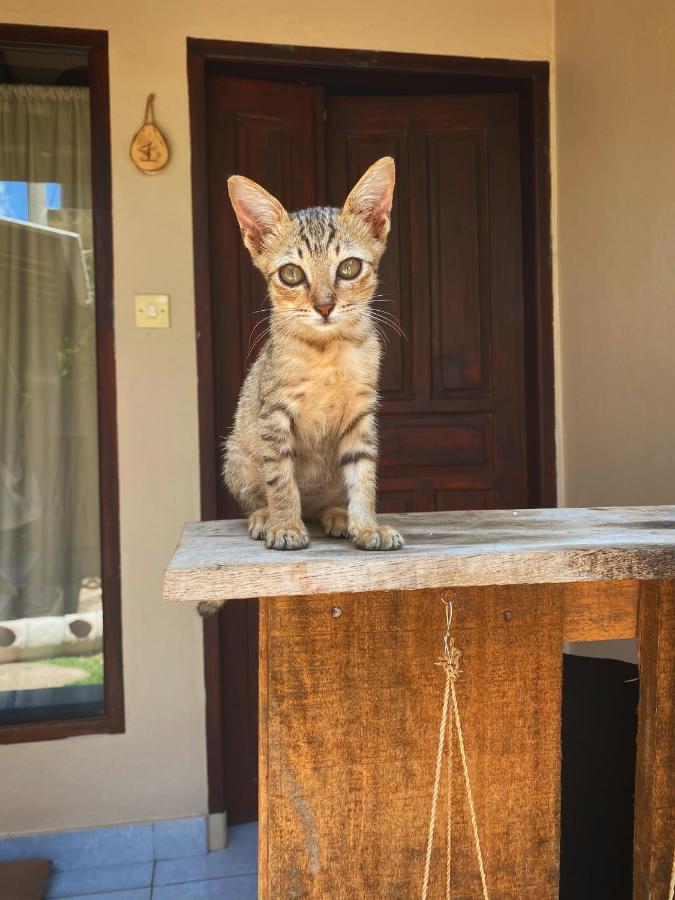 Jimador'S Homestay Gili Trawangan Exteriér fotografie